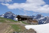 Da Tezzi Alti di Gandellino salita in Val Sedornia al Lago Spigorel e al Rif. Mirtillo il 2 giugno 2009 - FOTOGALLERY